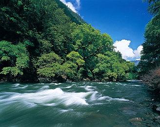 格莱美奖官方宣布 将新增“最佳电子游戏音乐“奖项