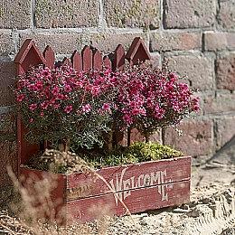 新田真剑佑加盟《刺客信条：影》 为帅气NPC配音